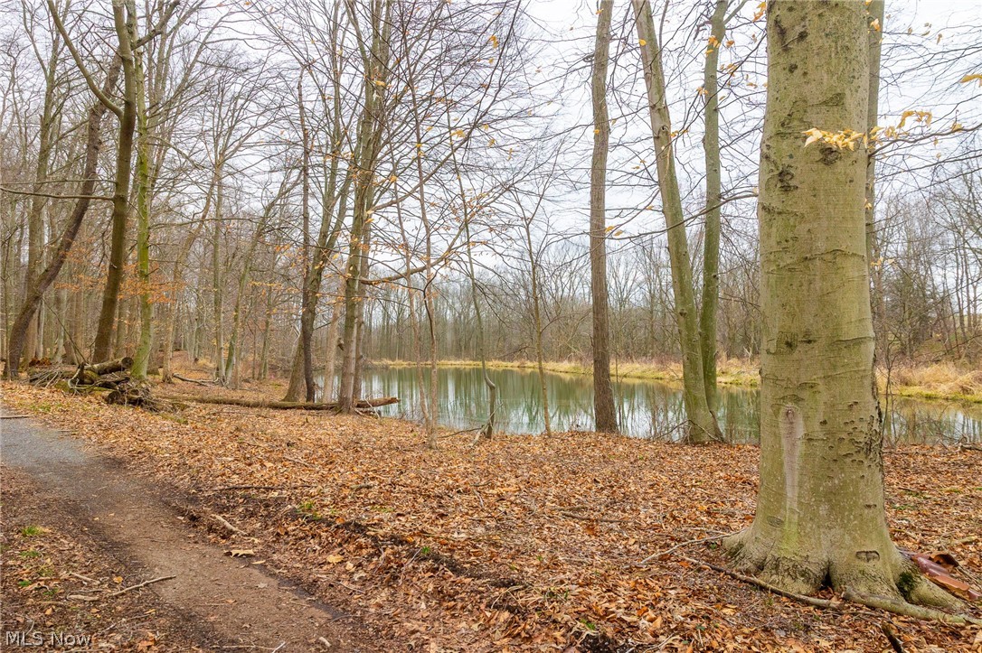 Pigeon Run Avenue SW Navarre OH 44662