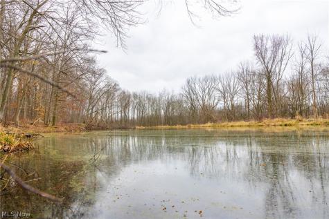 Pigeon Run Avenue SW Navarre OH 44662