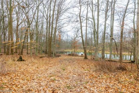 Pigeon Run Avenue SW Navarre OH 44662