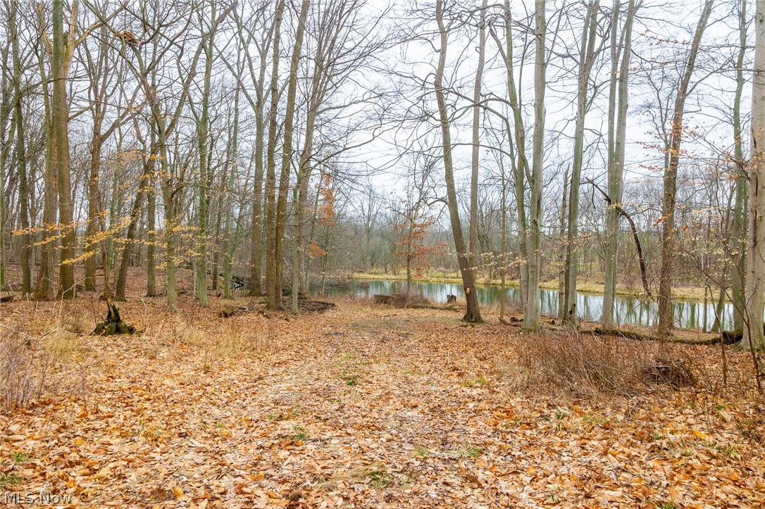 Pigeon Run Avenue SW Navarre OH 44662
