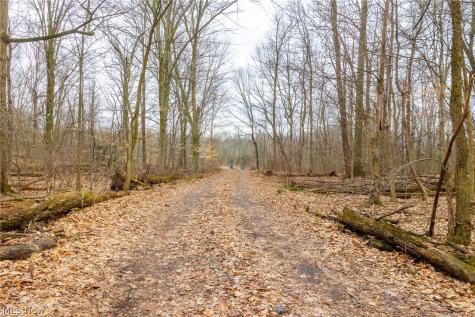 Pigeon Run Avenue SW Navarre OH 44662