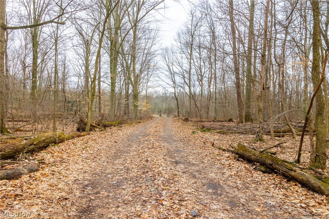 Pigeon Run Avenue SW Navarre OH 44662