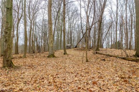Pigeon Run Avenue SW Navarre OH 44662