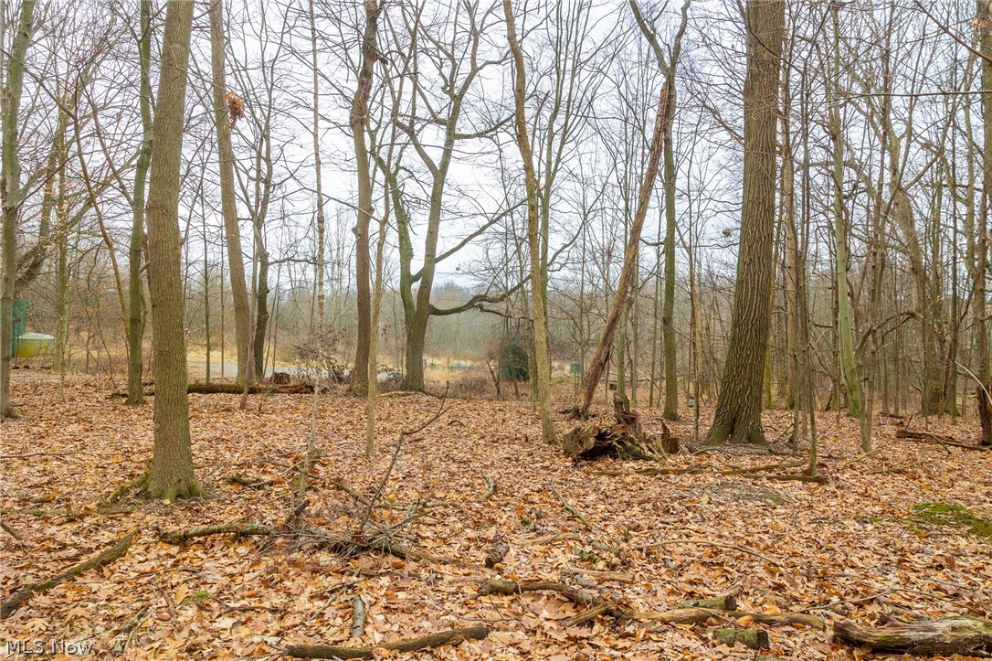 Pigeon Run Avenue SW Navarre OH 44662
