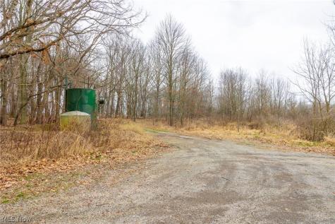 Pigeon Run Avenue SW Navarre OH 44662