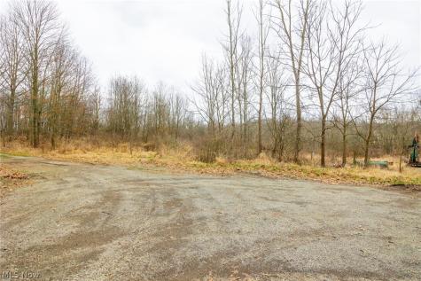 Pigeon Run Avenue SW Navarre OH 44662