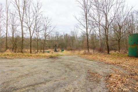 Pigeon Run Avenue SW Navarre OH 44662