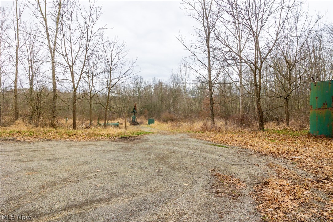 Pigeon Run Avenue SW Navarre OH 44662