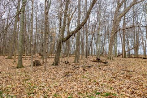 Pigeon Run Avenue SW Navarre OH 44662