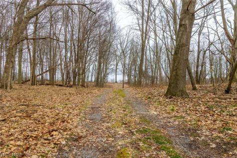 Pigeon Run Avenue SW Navarre OH 44662