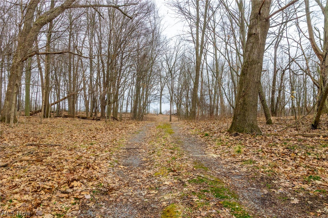 Pigeon Run Avenue SW Navarre OH 44662