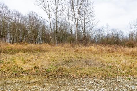 Pigeon Run Avenue SW Navarre OH 44662