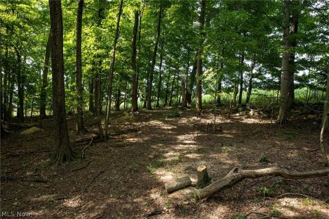 Smith Road SW Navarre OH 44662