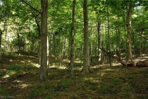 Smith Road SW Navarre OH 44662