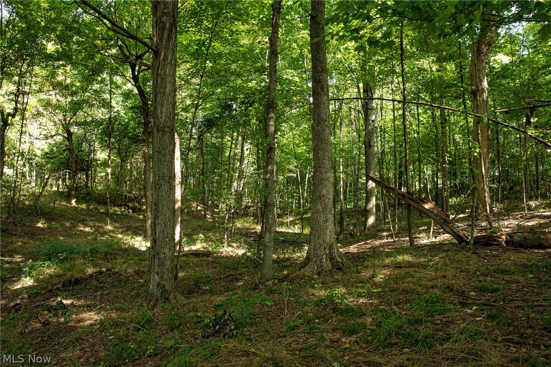 Smith Road SW Navarre OH 44662