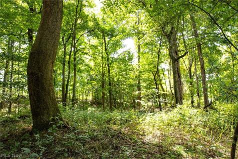 Smith Road SW Navarre OH 44662