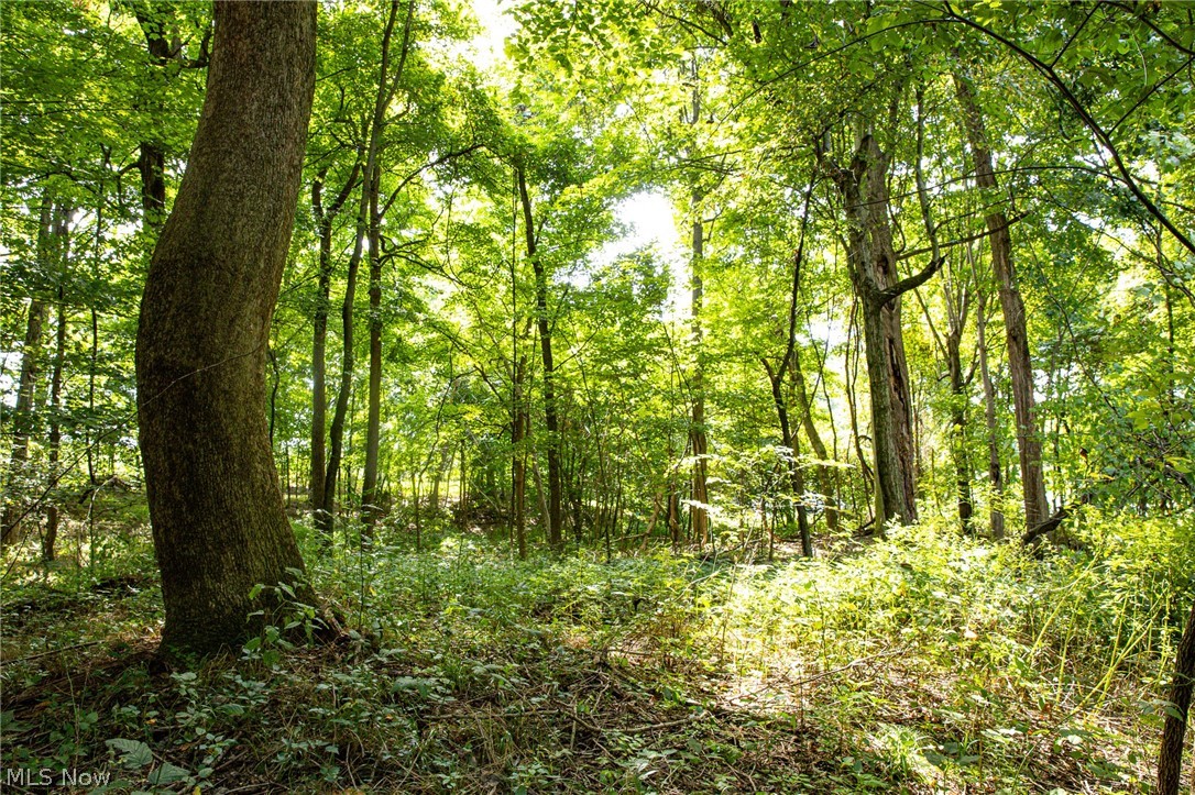 Smith Road SW Navarre OH 44662