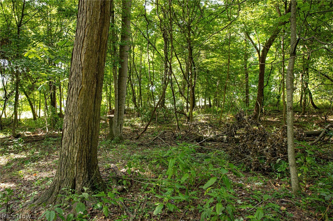 Smith Road SW Navarre OH 44662