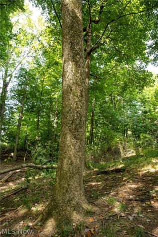 Smith Road SW Navarre OH 44662