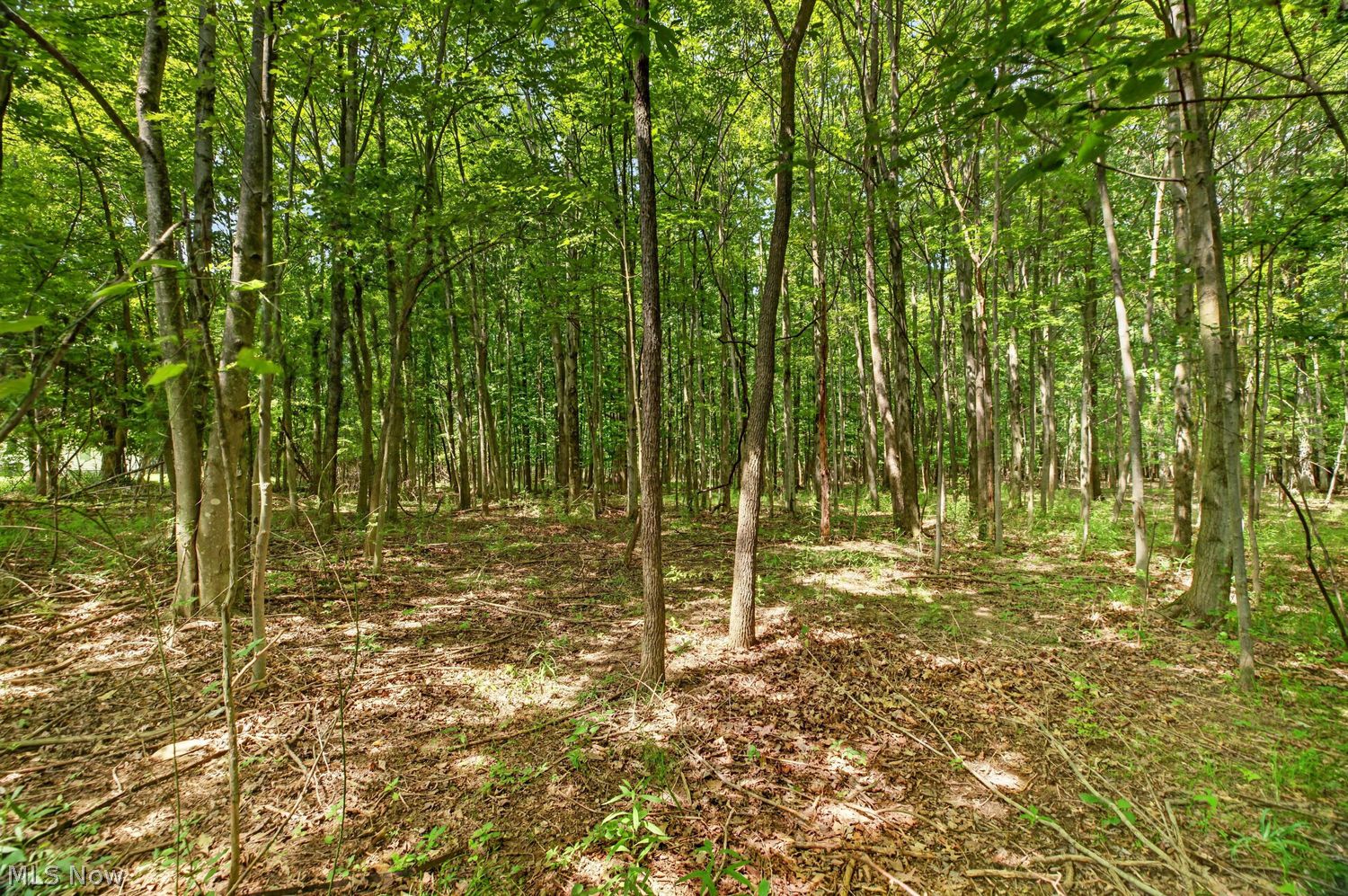 Vl Brownhelm Station Road Vermilion OH 44089