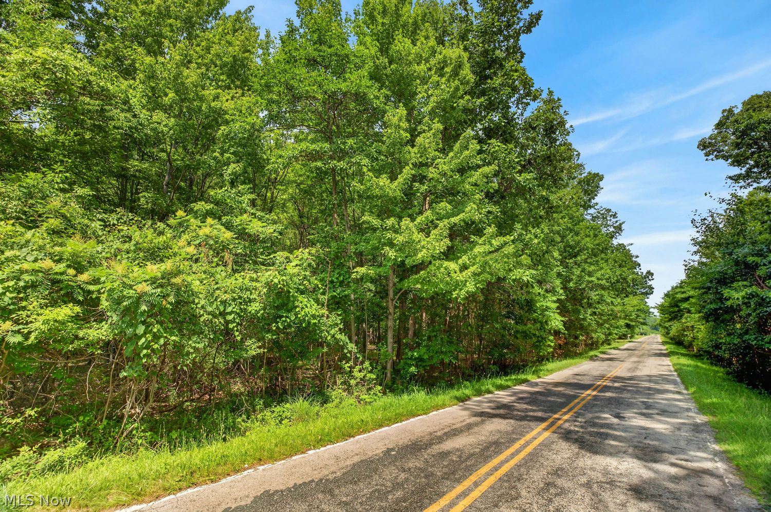 Vl Brownhelm Station Road Vermilion OH 44089