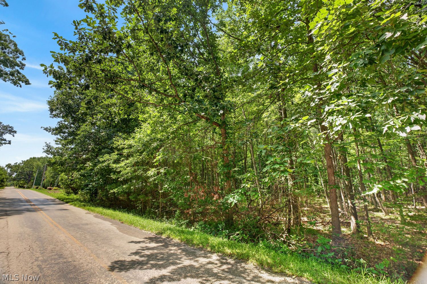 Vl Brownhelm Station Road Vermilion OH 44089