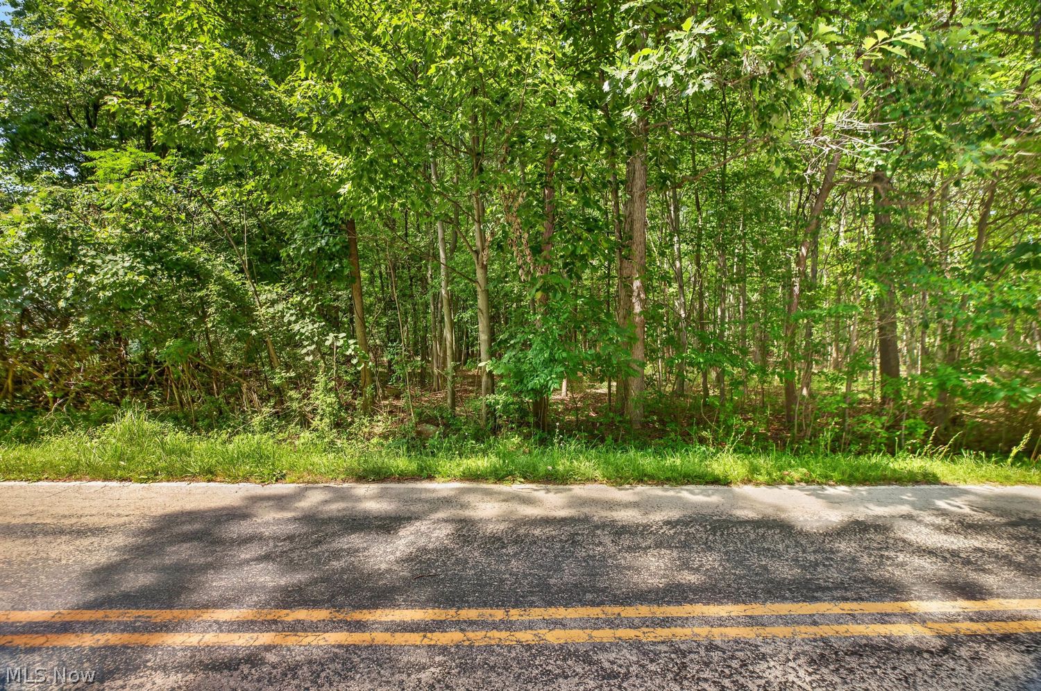 Vl Brownhelm Station Road Vermilion OH 44089