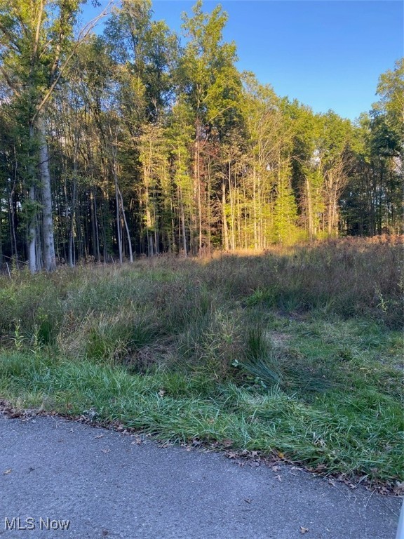 Maplewood Avenue Lake Milton OH 44429