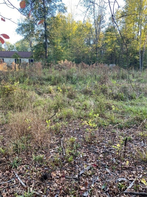 Maplewood Avenue Lake Milton OH 44429