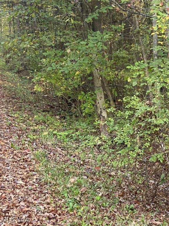 Maplewood Avenue Lake Milton OH 44429