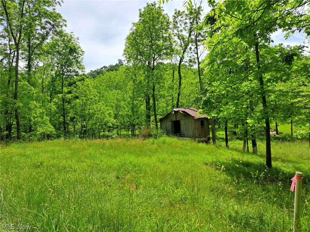 59208 Trail Run Road Byesville OH 43723