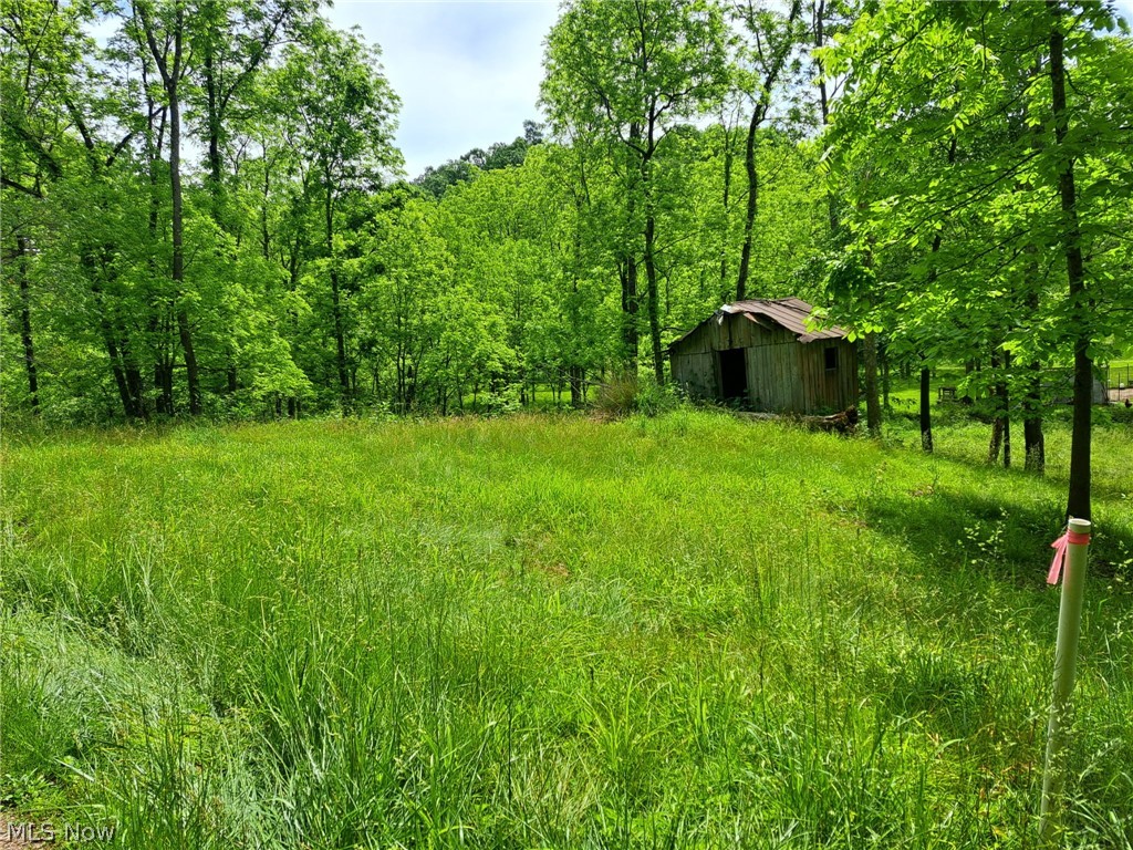 59208 Trail Run Road Byesville OH 43723