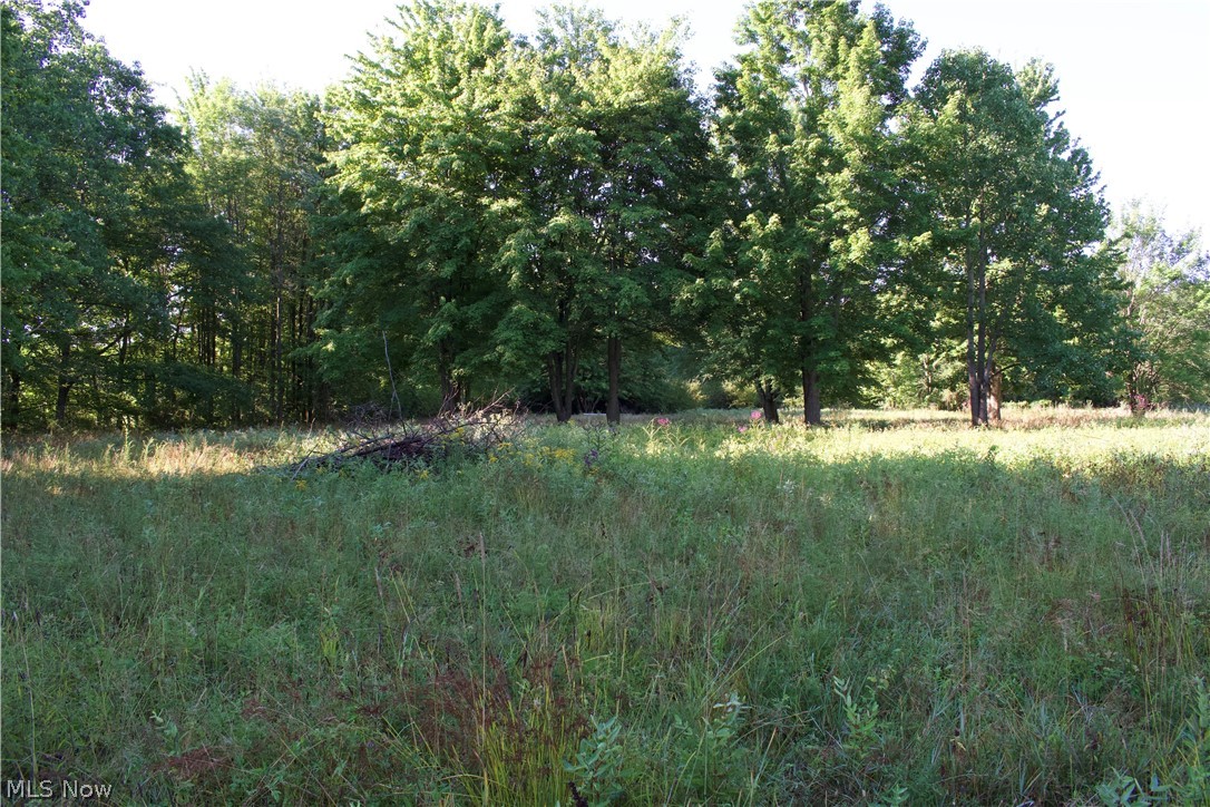 16145 Moseley Road Thompson OH 44057
