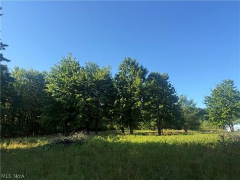 16145 Moseley Road Thompson OH 44057