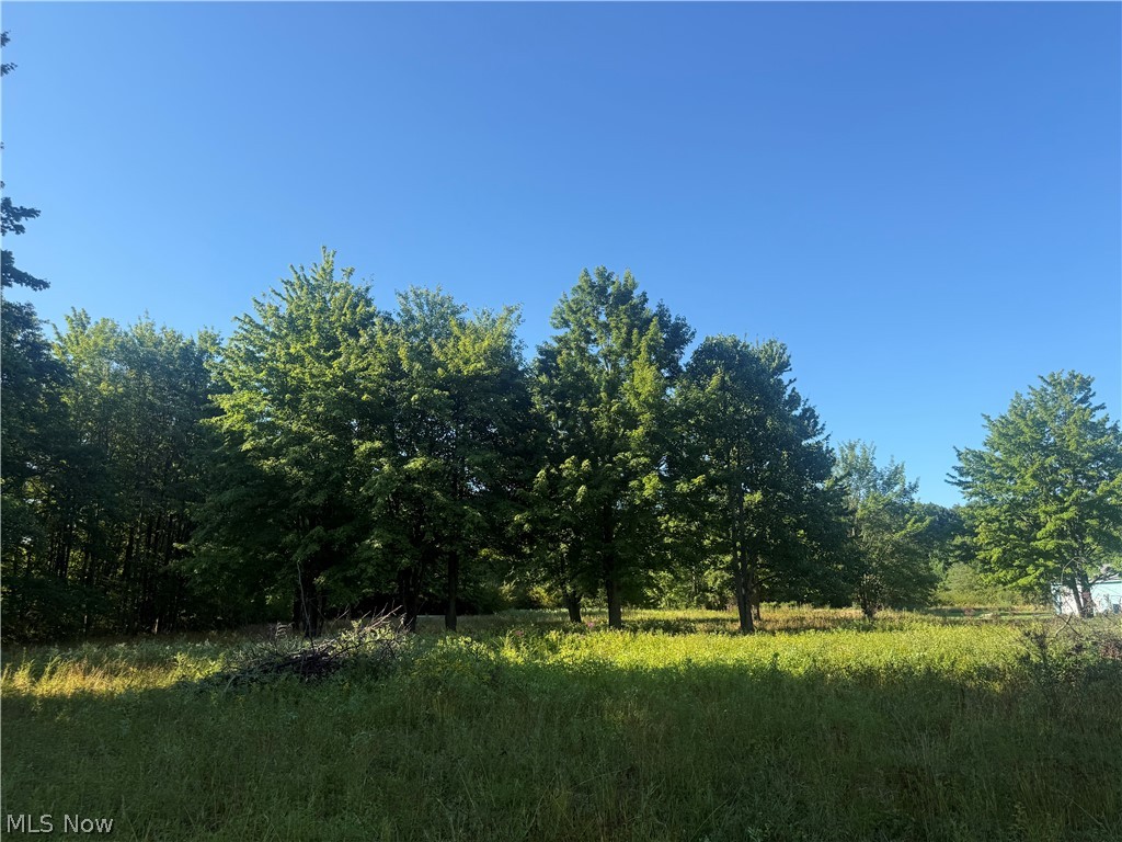 16145 Moseley Road Thompson OH 44057