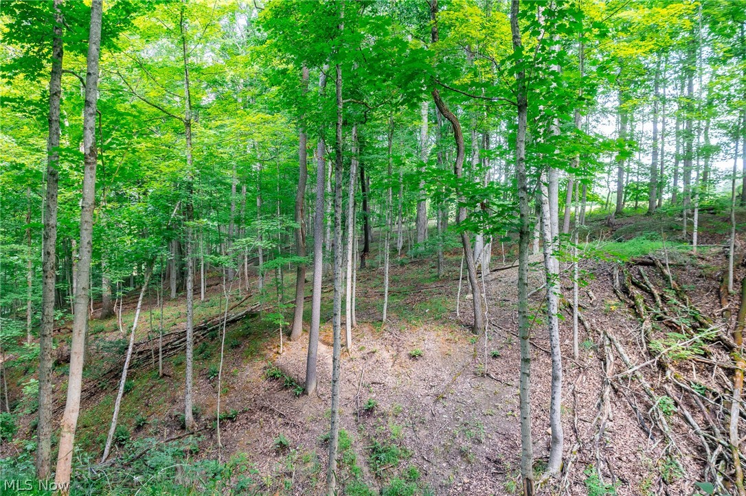 Township Road 41a Road Warsaw OH 43844