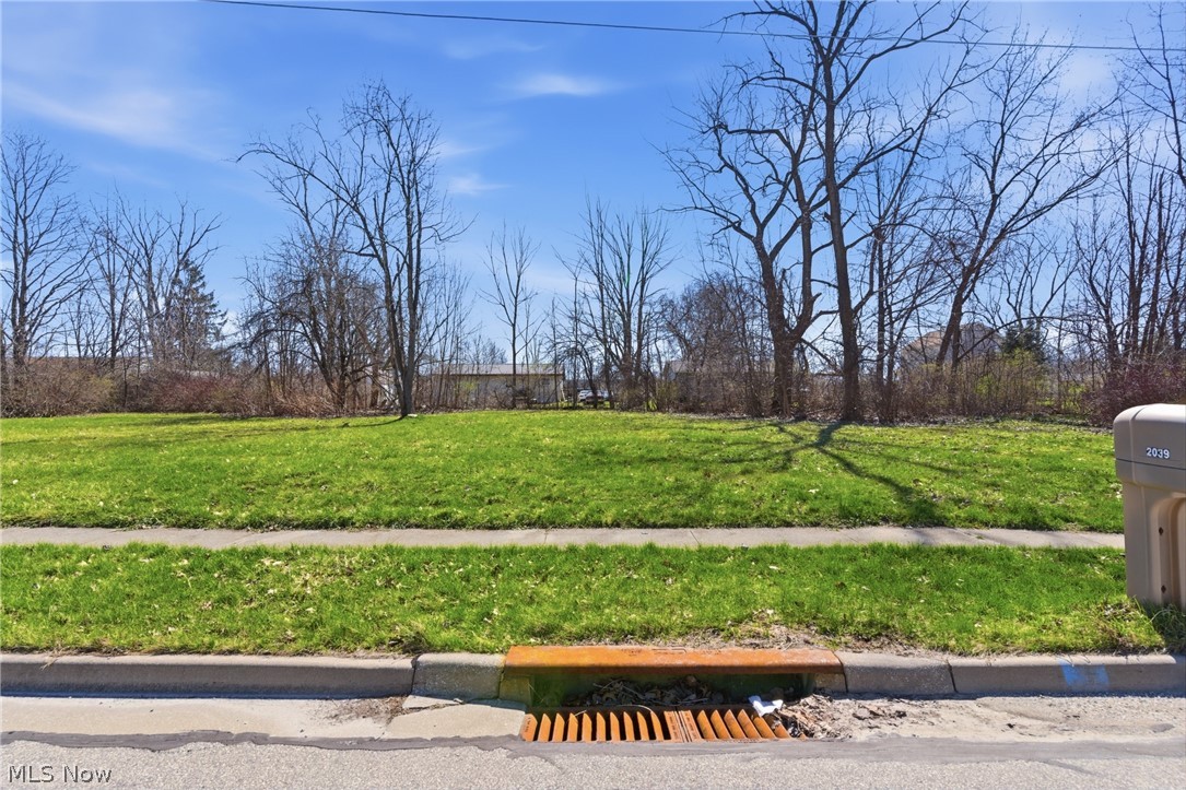 2048 Buchtel Street Twinsburg OH 44087