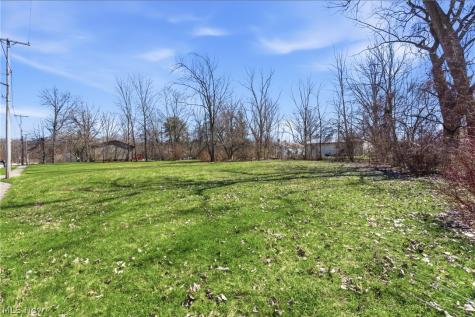 2048 Buchtel Street Twinsburg OH 44087