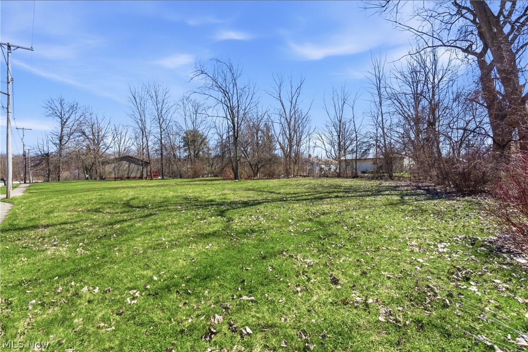2048 Buchtel Street Twinsburg OH 44087