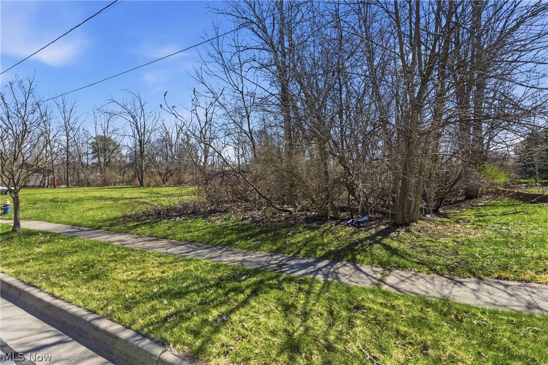 2048 Buchtel Street Twinsburg OH 44087