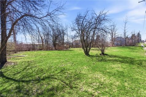 2048 Buchtel Street Twinsburg OH 44087