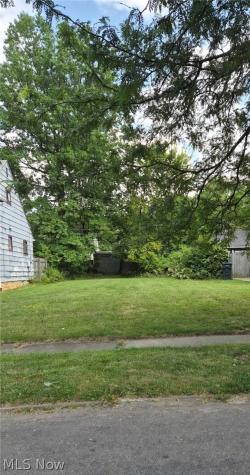 907 Nela View Road Cleveland Heights OH 44112