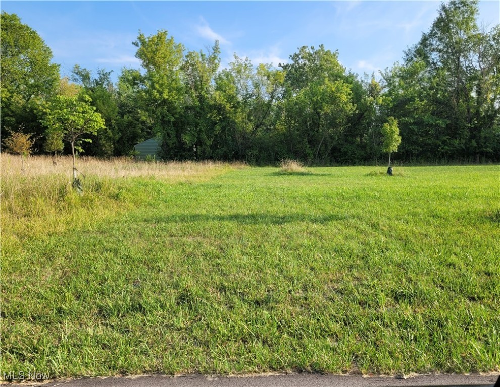 2035 Van Wye Street SE Warren OH 44484