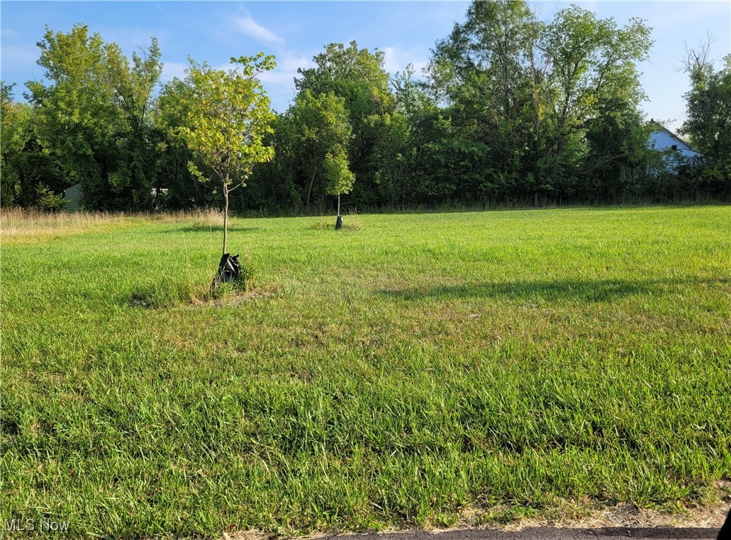 2035 Van Wye Street SE Warren OH 44484