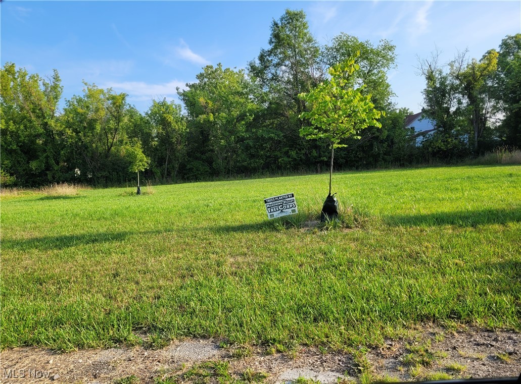 2035 Van Wye Street SE Warren OH 44484