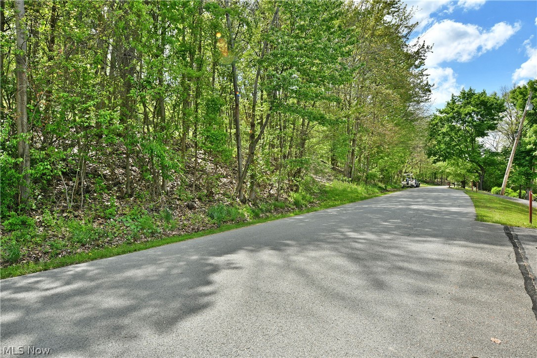 47912 Tomahawk Drive Negley OH 44441