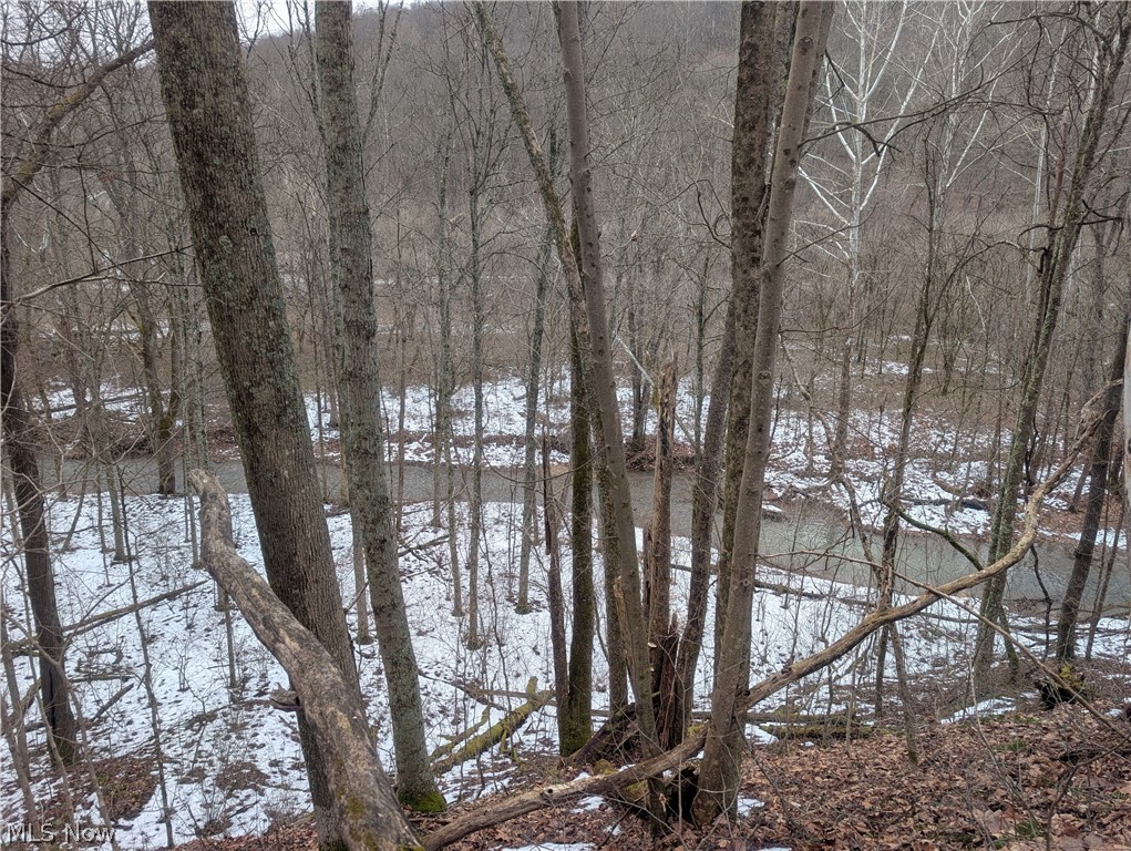 0 Tract 7 Edwina Road Woodsfield OH 43793