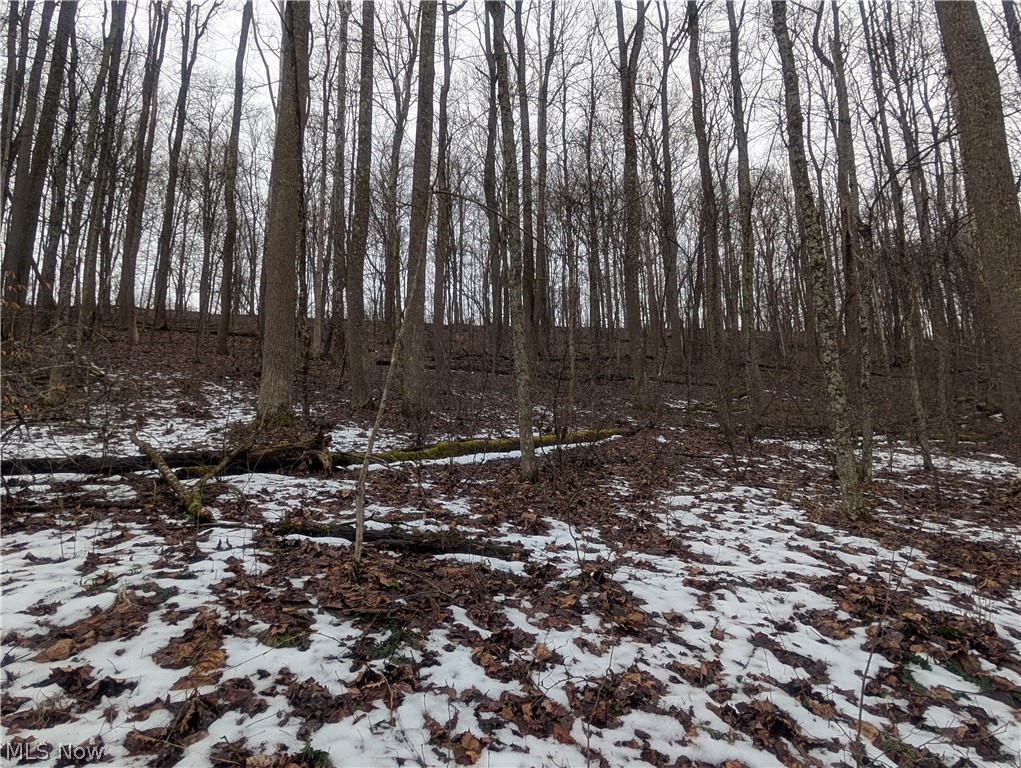 0 Tract 7 Edwina Road Woodsfield OH 43793