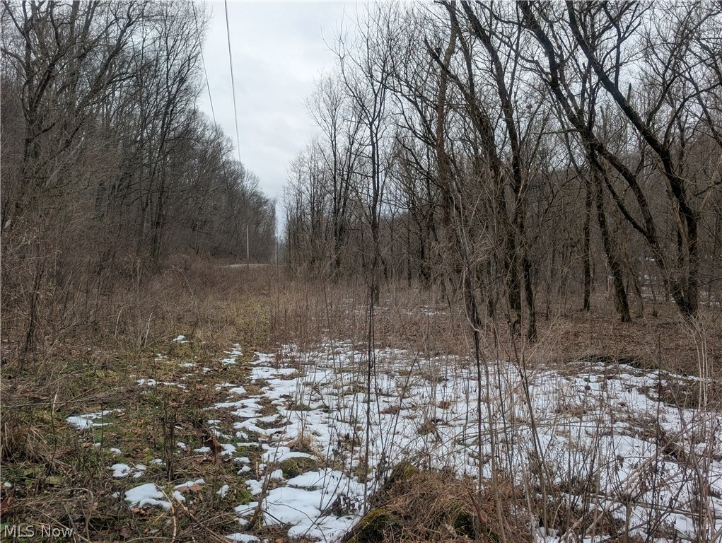 0 Tract 7 Edwina Road Woodsfield OH 43793