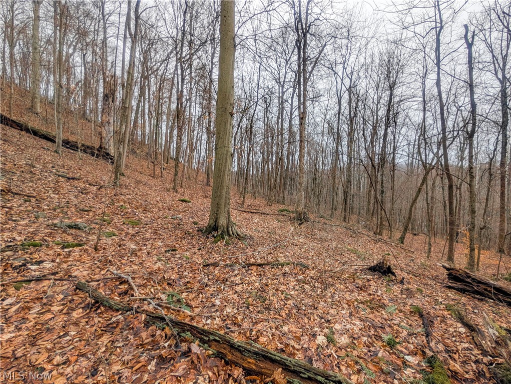 0 Tract 7 Edwina Road Woodsfield OH 43793